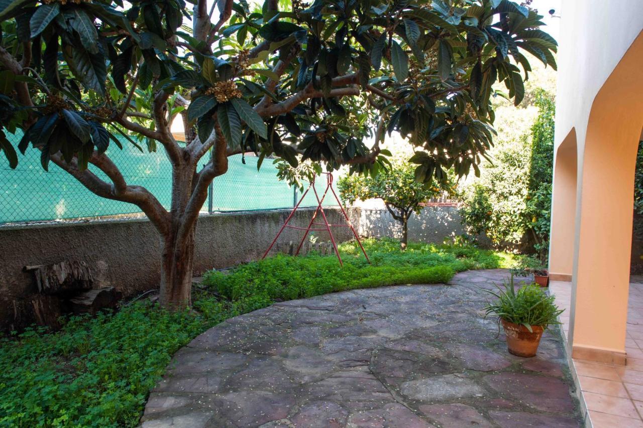 Willa Florit Flats - The Orange Lemon Tree House La Eliana Zewnętrze zdjęcie