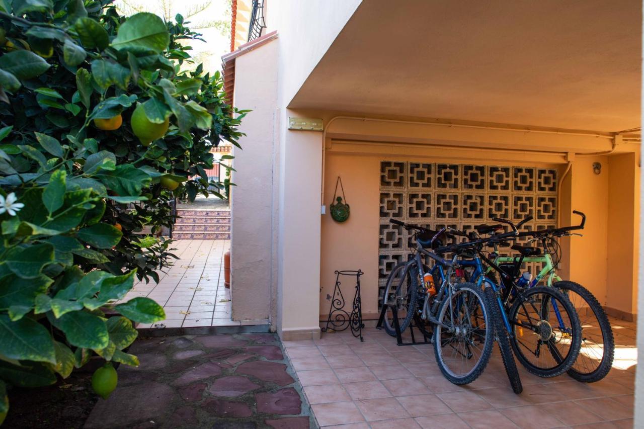 Willa Florit Flats - The Orange Lemon Tree House La Eliana Zewnętrze zdjęcie