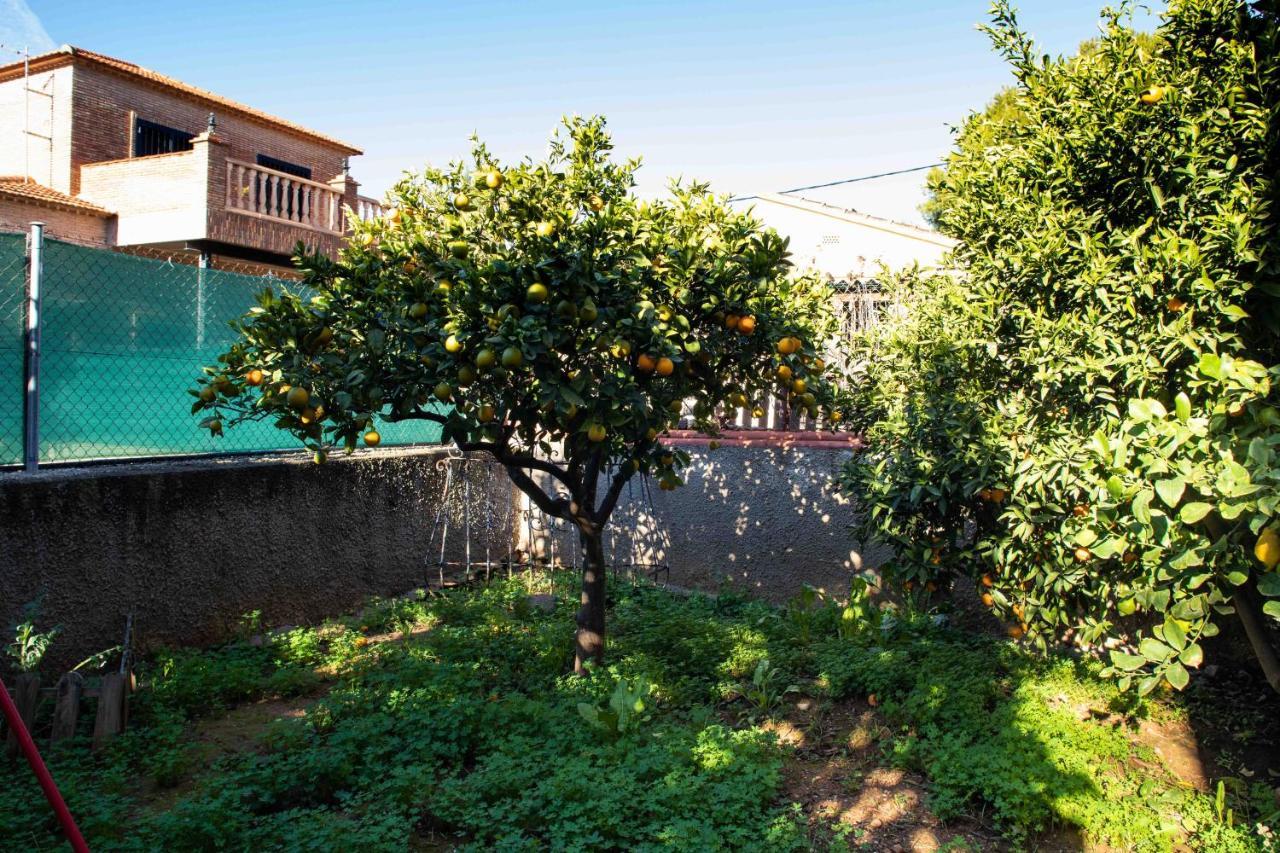 Willa Florit Flats - The Orange Lemon Tree House La Eliana Zewnętrze zdjęcie